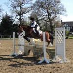 Inter-School Show Jumping Challenge